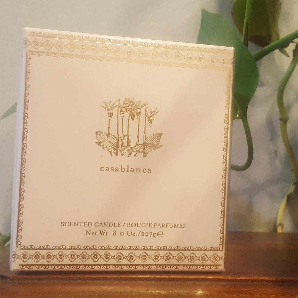Calypso St Barth Casablanca Candle